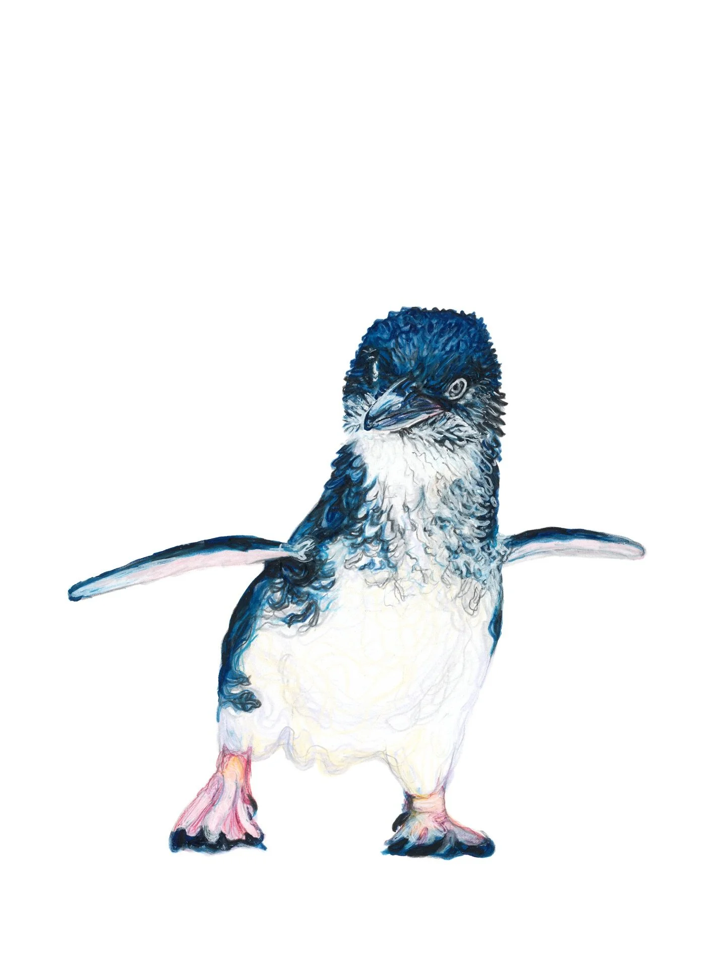 Kororā - Little Blue Penguin

I&rsquo;ve had so much lovely feedback about this little fella (from my stories) that I&rsquo;ve decided to share him here too. I made him for my son, who had been asking me for a while now to draw a little blue penguin 