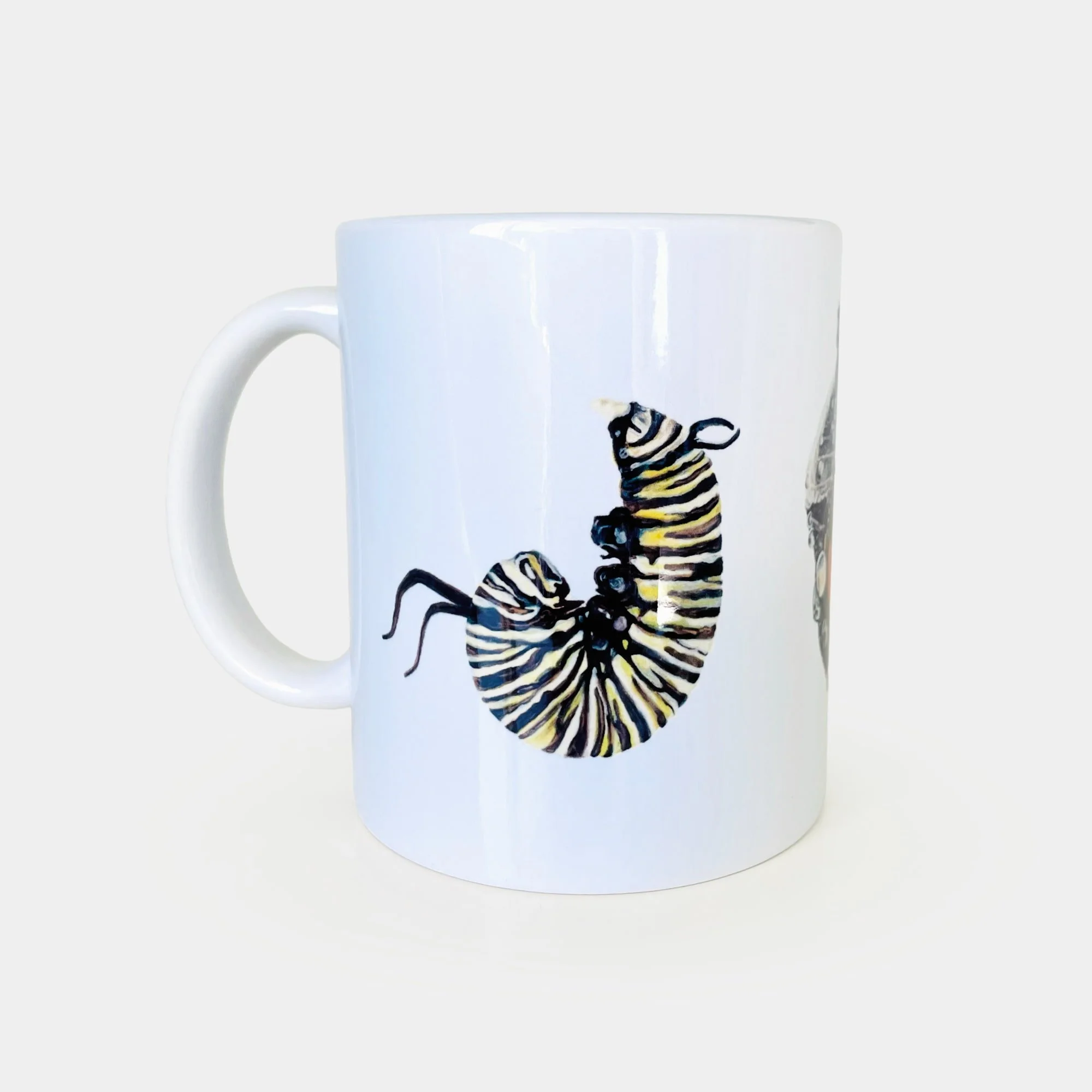 TS315_Metamorphosis Monarch_2.jpg