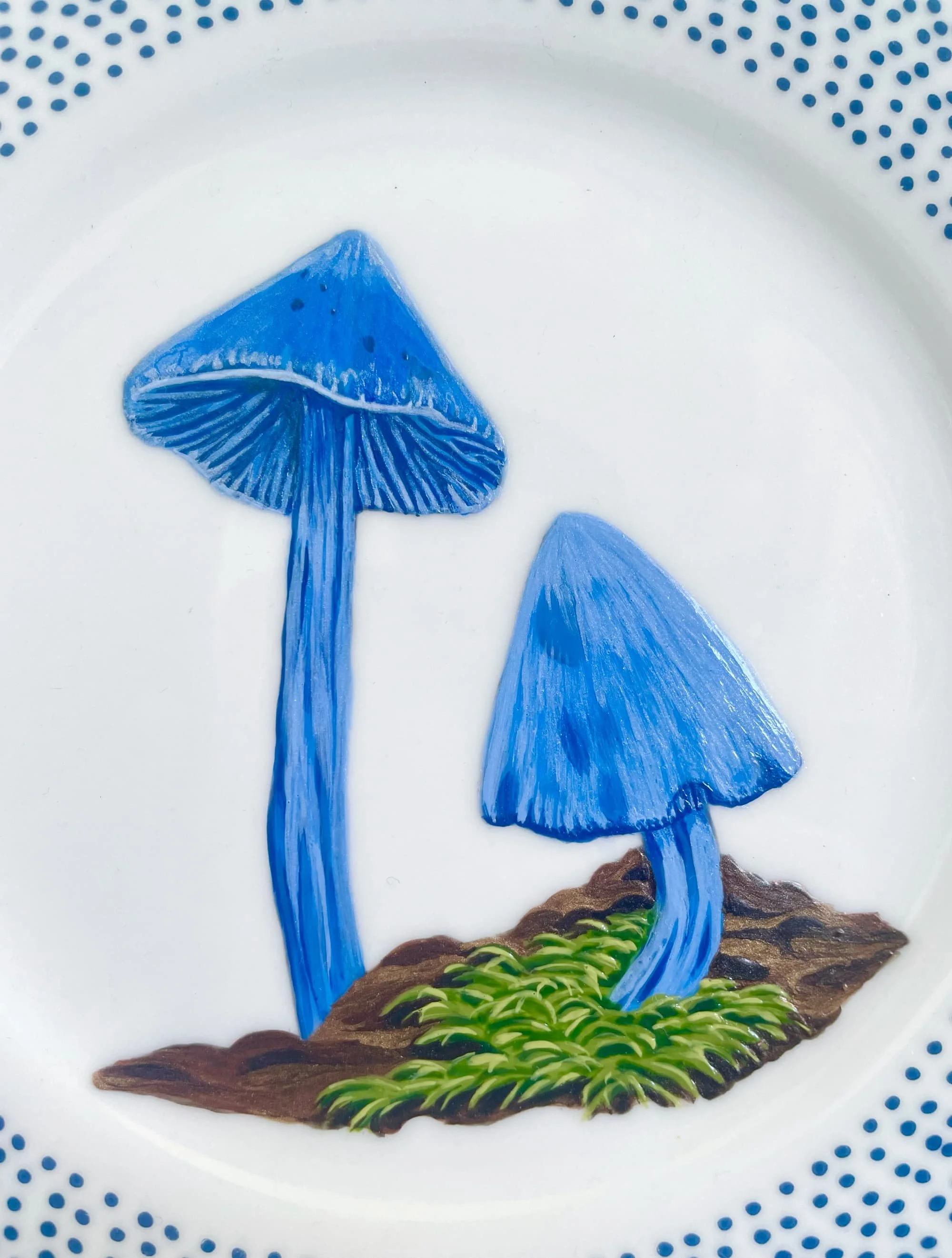 TS232_Werewere Kōkako Pair - 19cm2.jpg