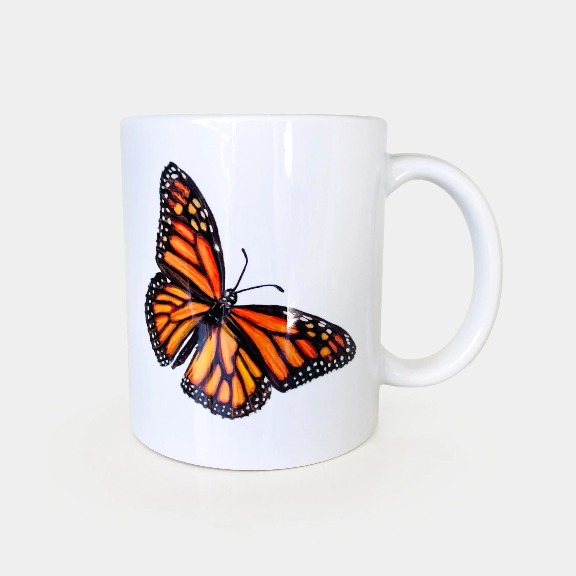 Monarch Metamorphosis Mug