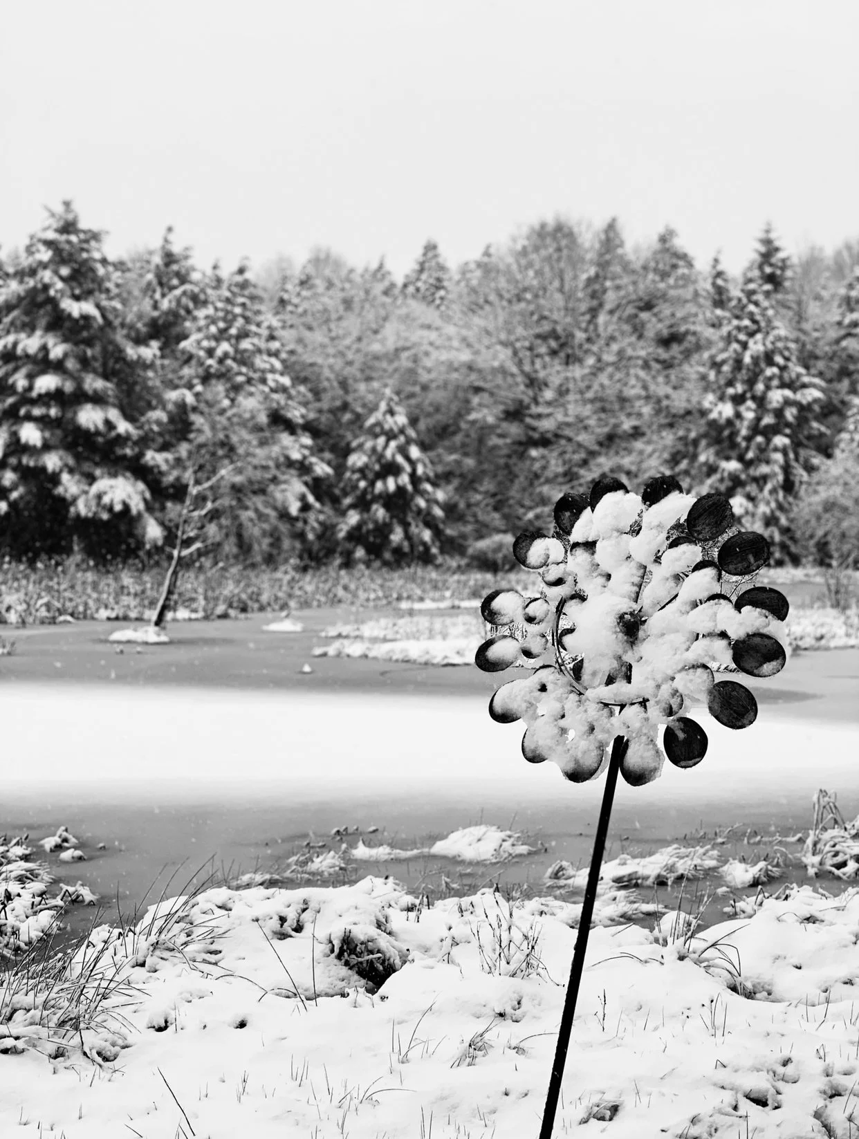 upstate4.jpeg