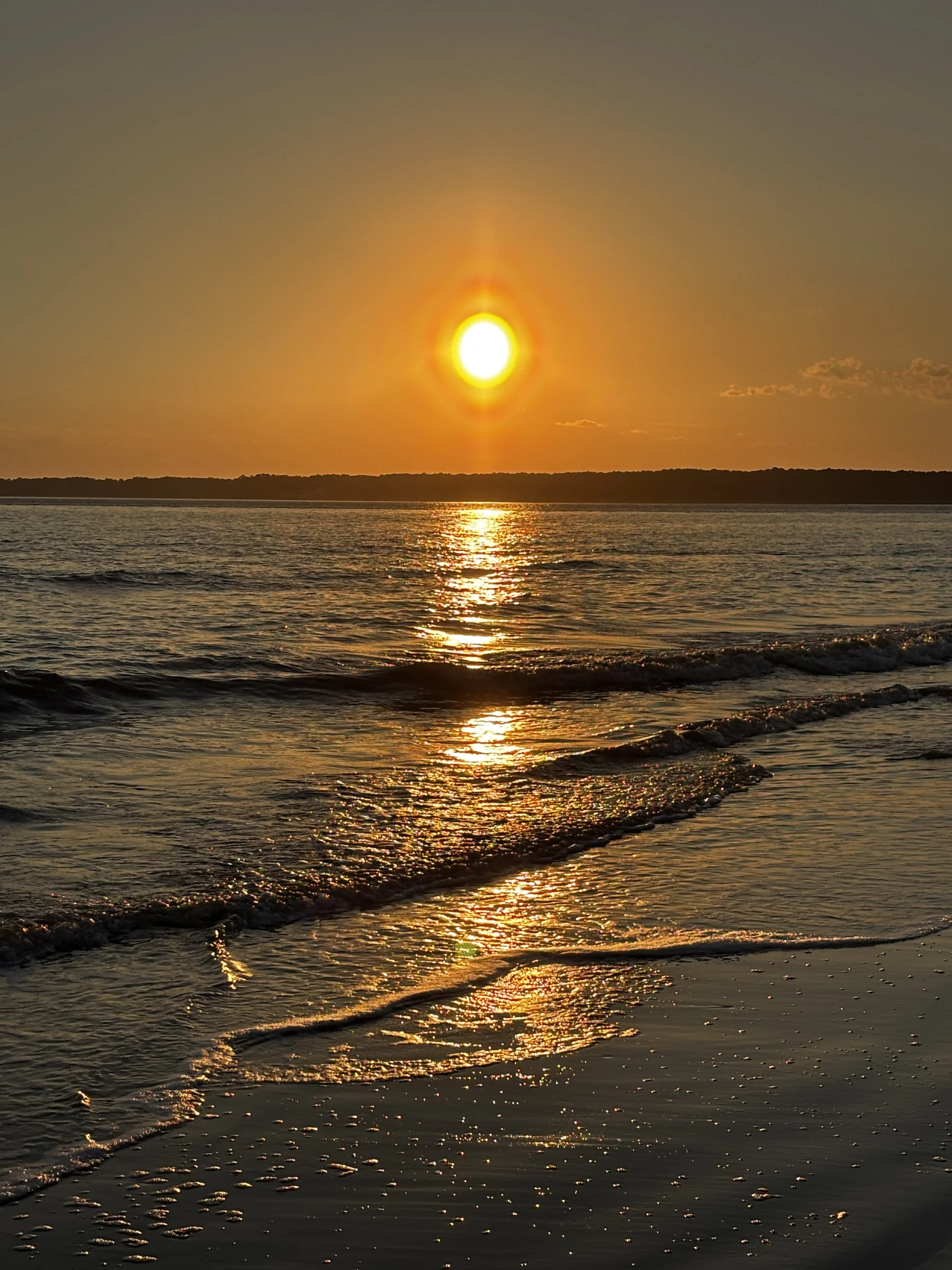 hiltonhead3.jpeg