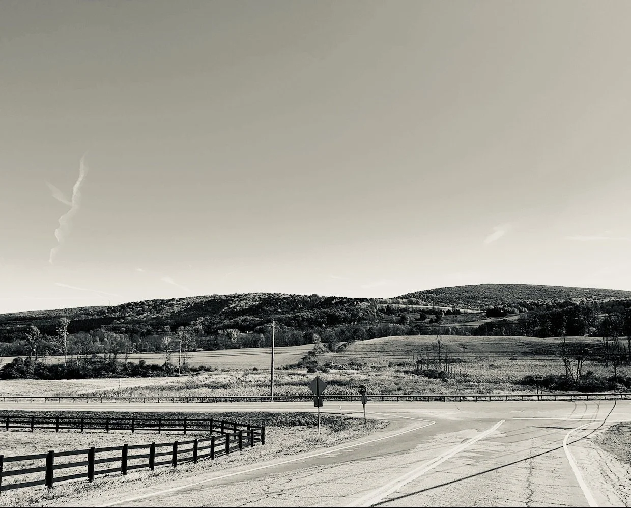 upstate5.jpeg