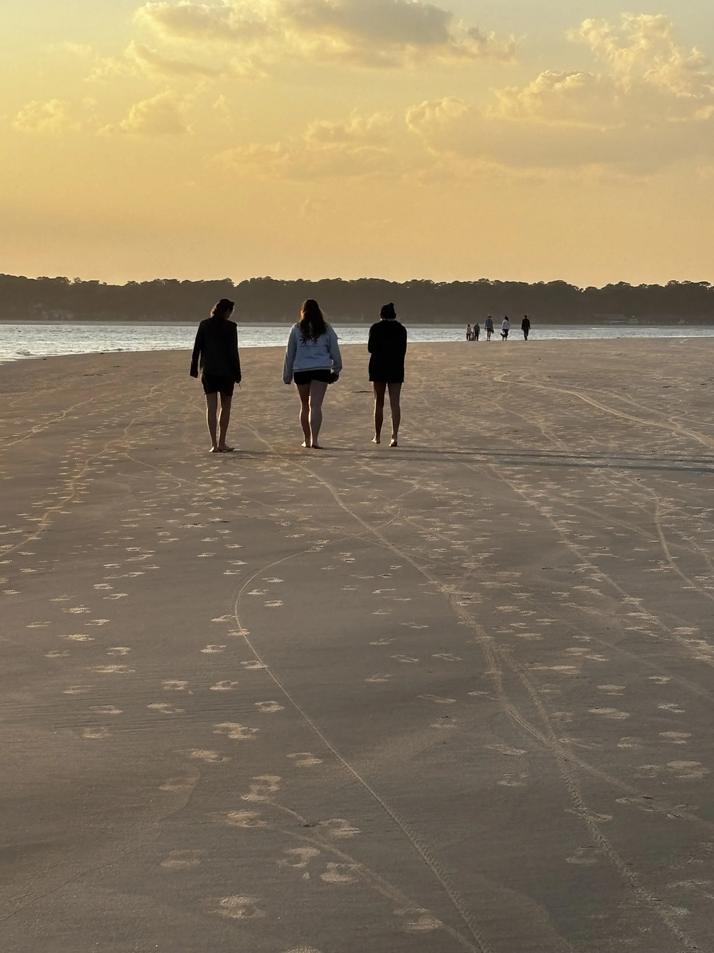 hiltonhead5.jpeg