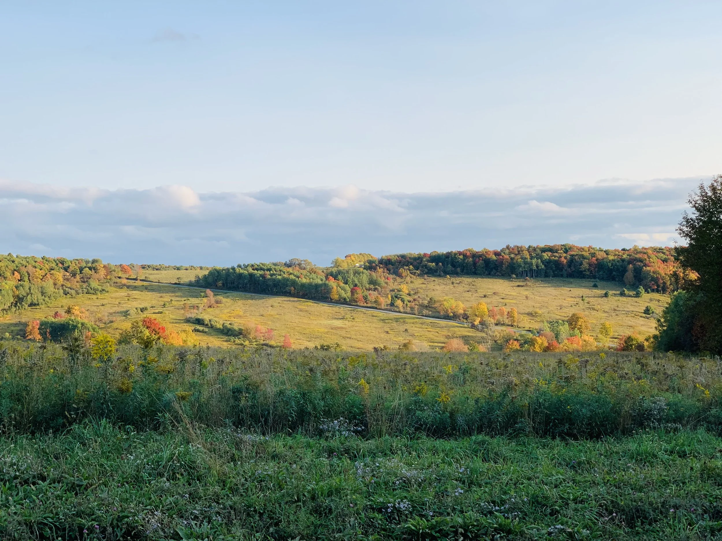upstate1.jpeg