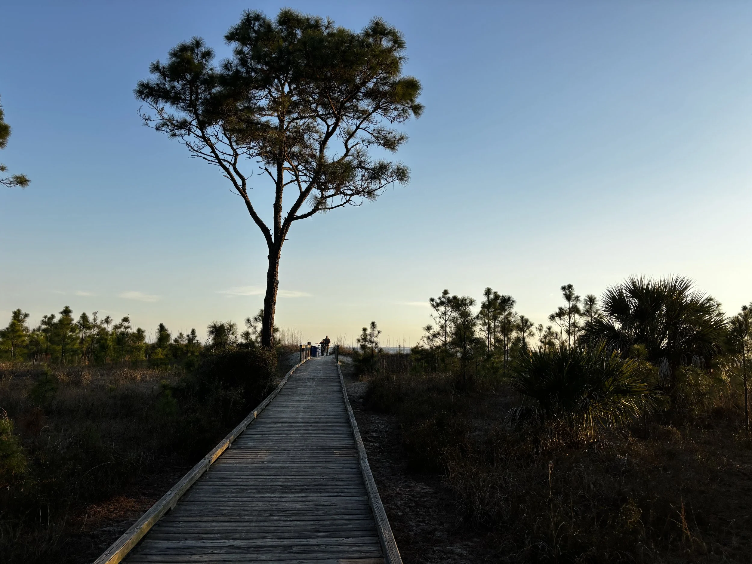 hiltonhead6.jpeg