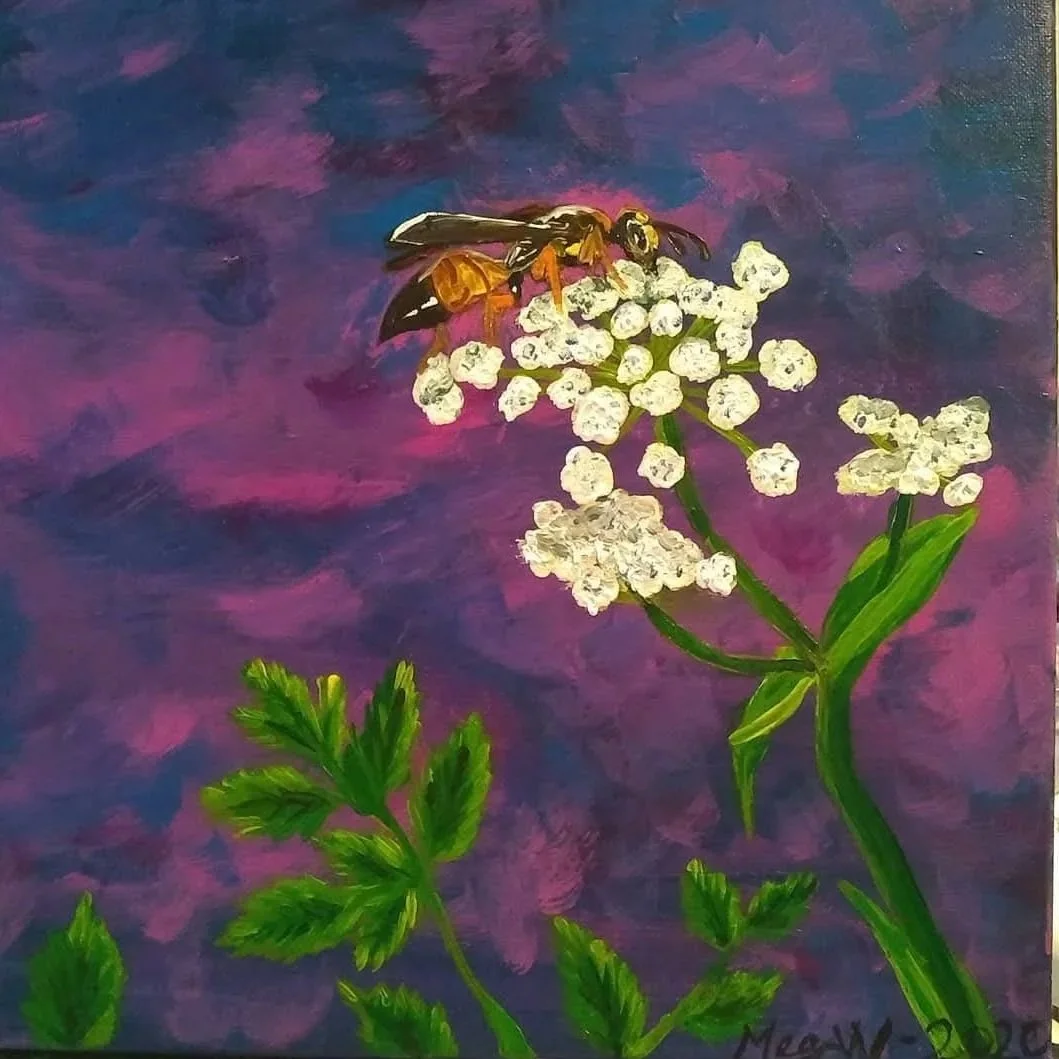 Pollinator Series #4: Great Gold Digger Wasp and Wild Celery 2020