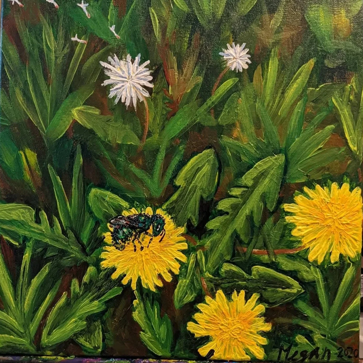 Pollinator Series #5: Dandelions and Mason Bee 2020