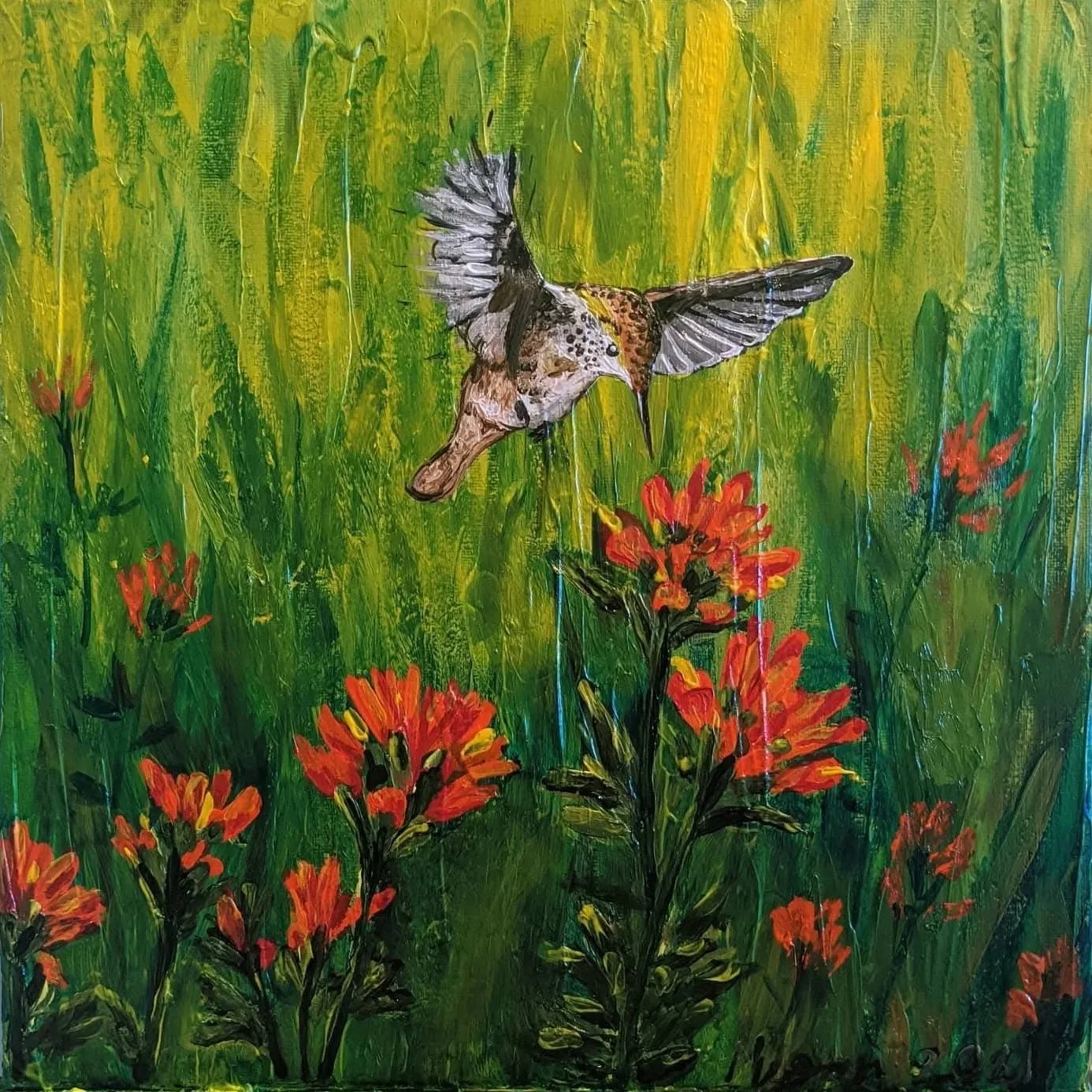 Pollinator Series #6: Castilleja and Rufous Hummingbird 2021