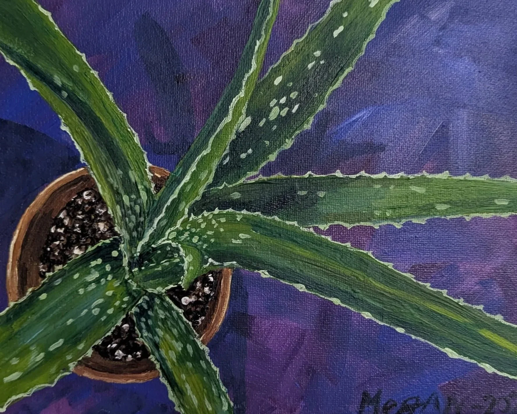 Aloe 2021