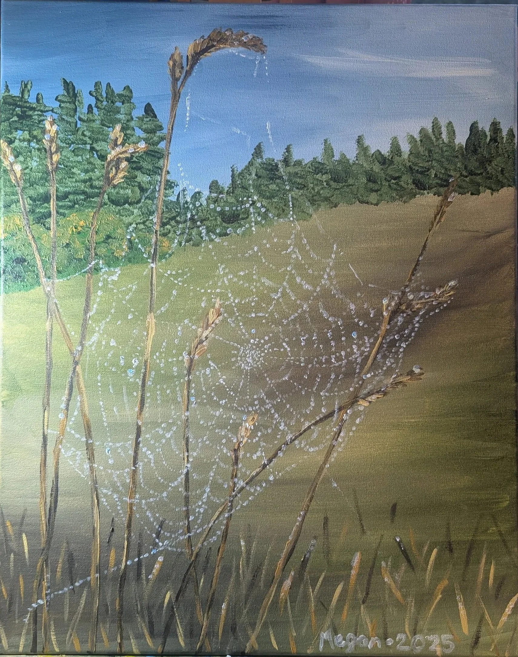 Dew on Spiderweb One Autumn Morning 2025