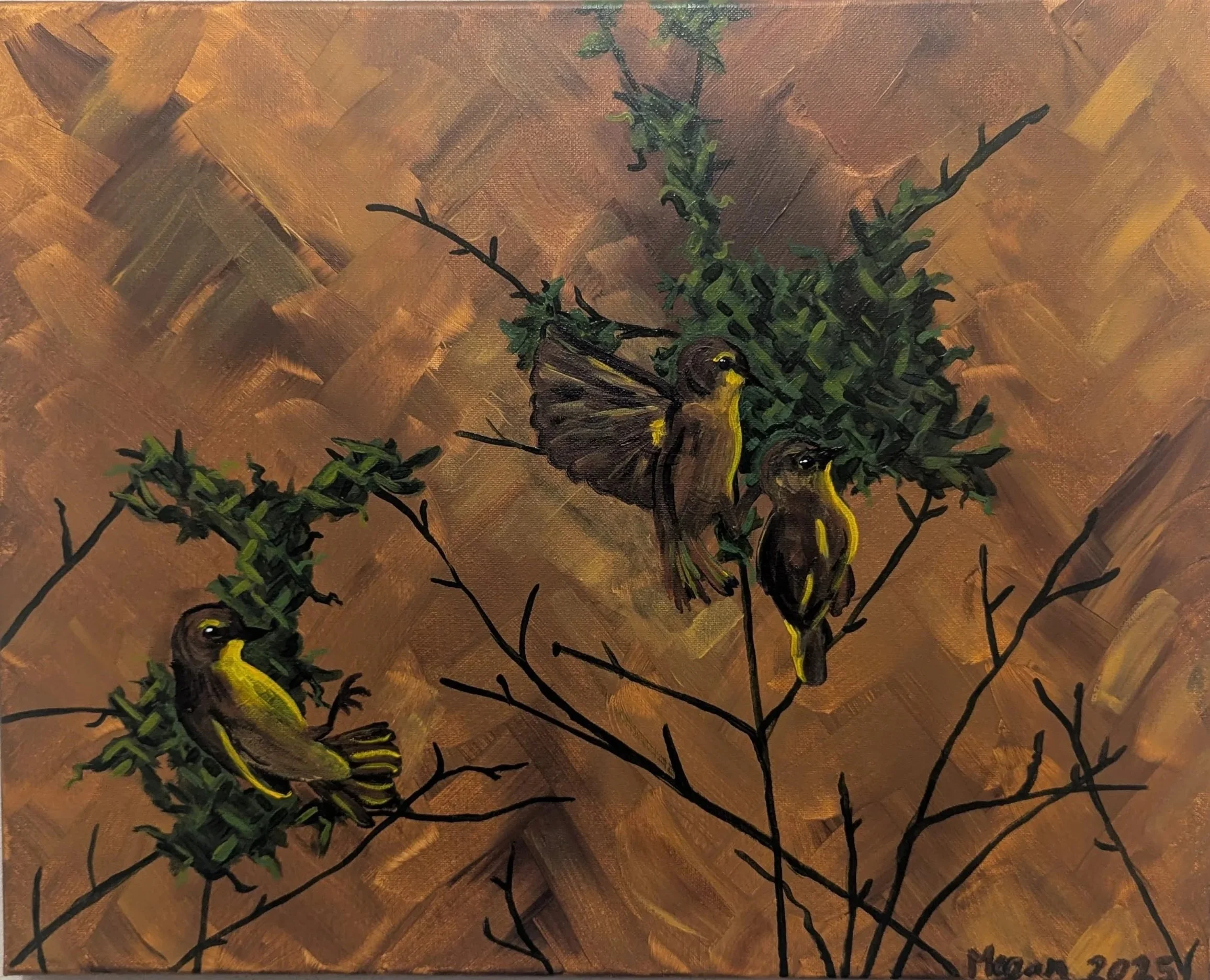 Weaver Birds 2025