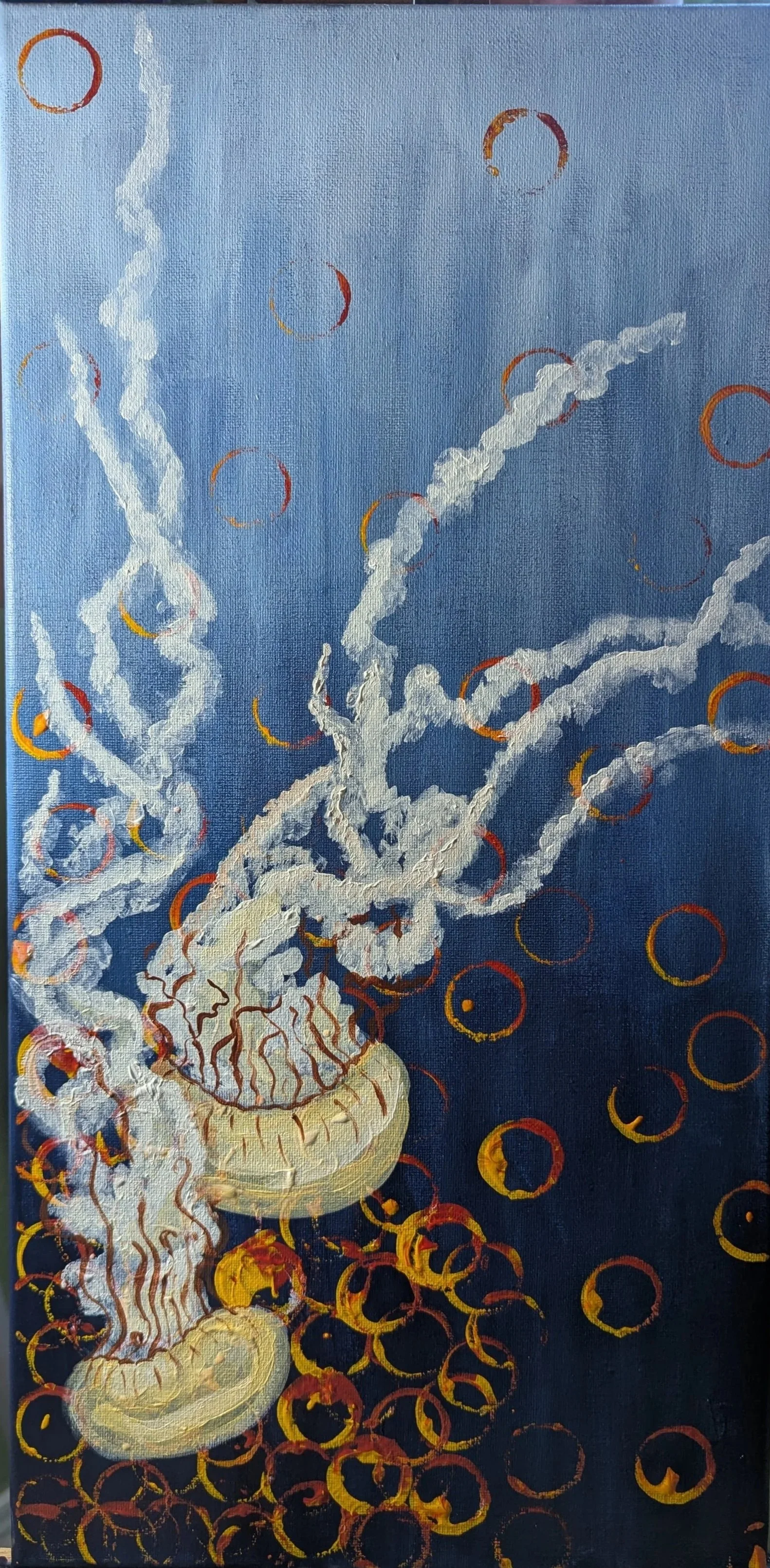 Jellyfish 2025