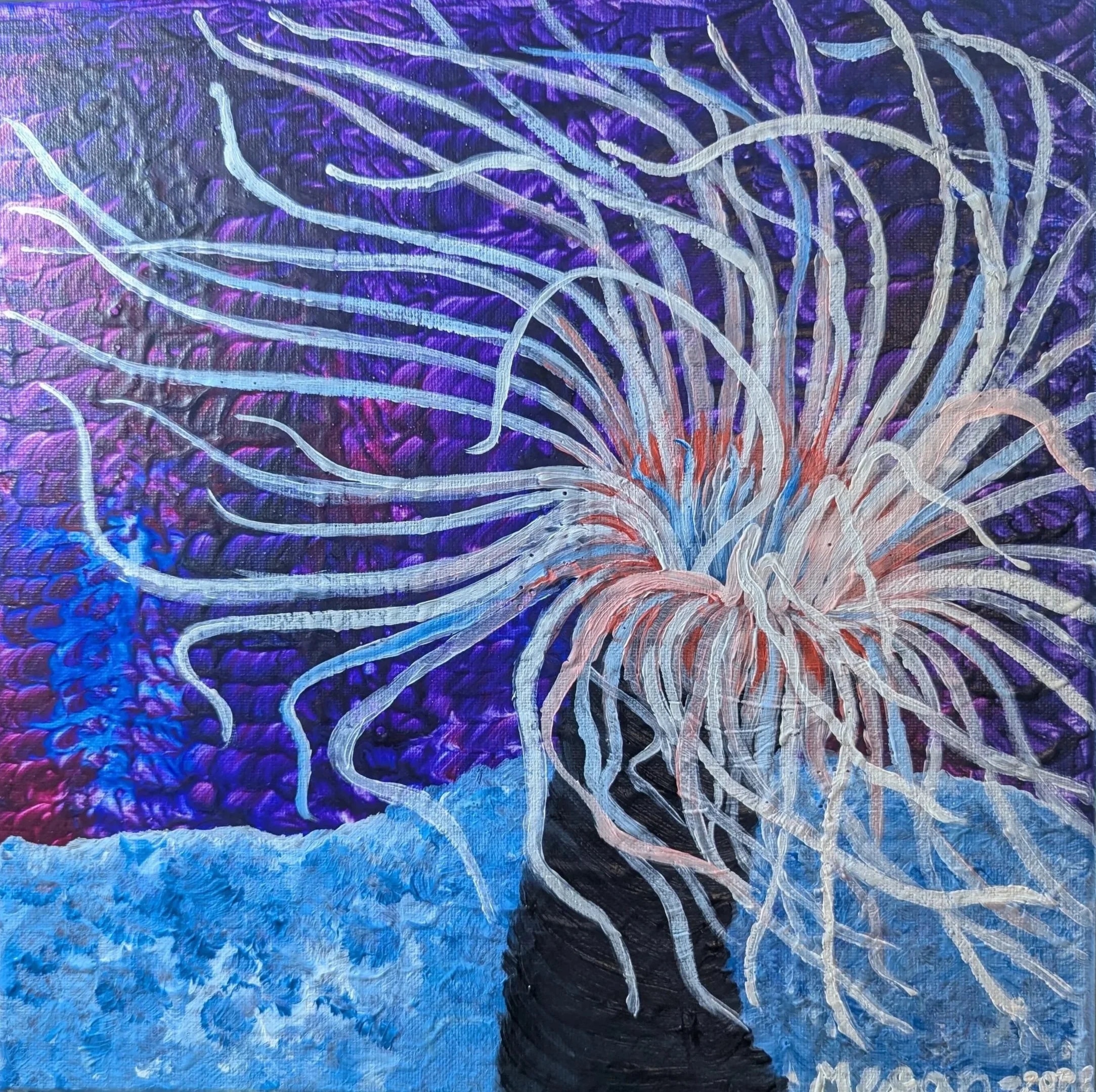 Anemone 2025