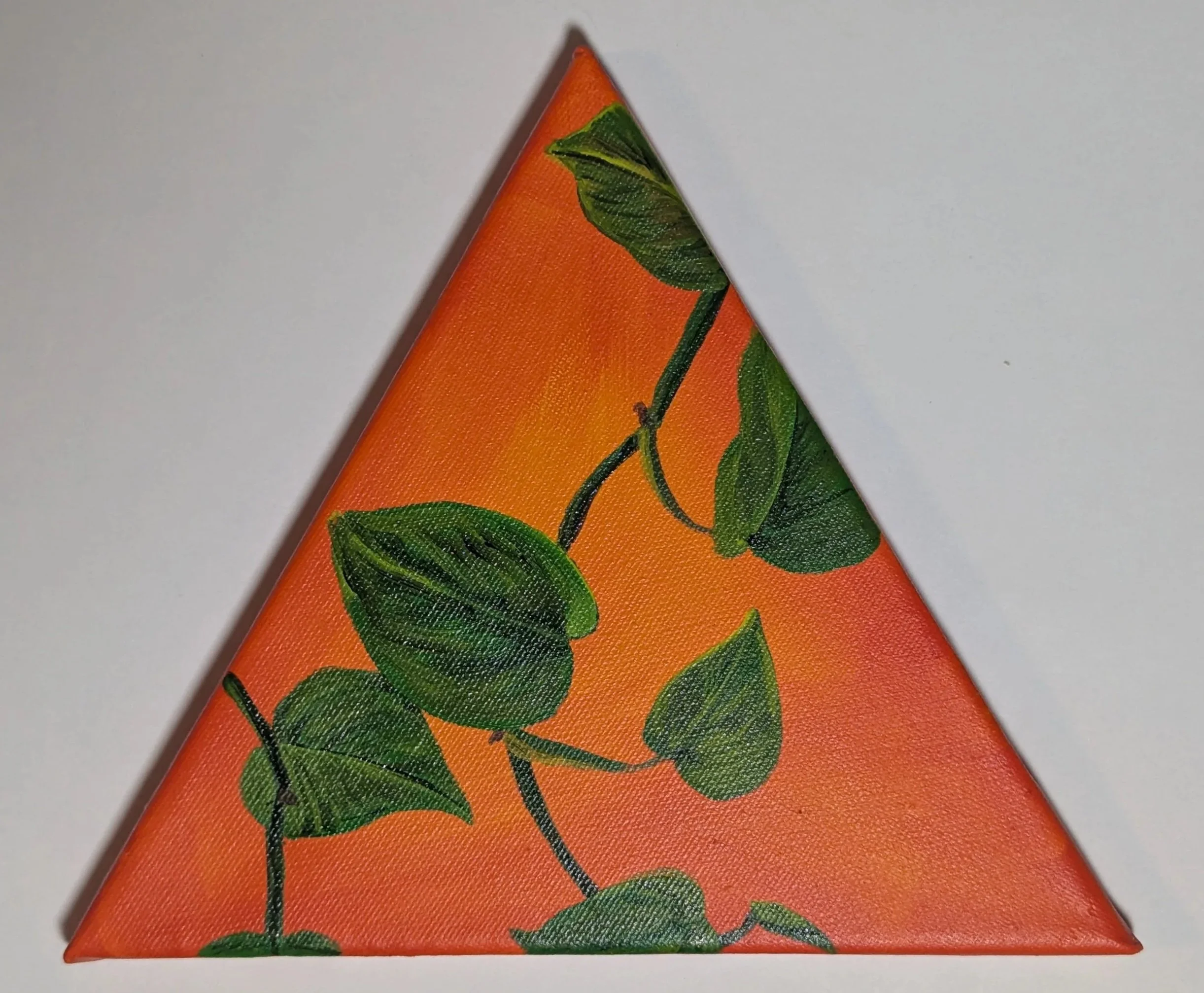 Pothos Vines 2025