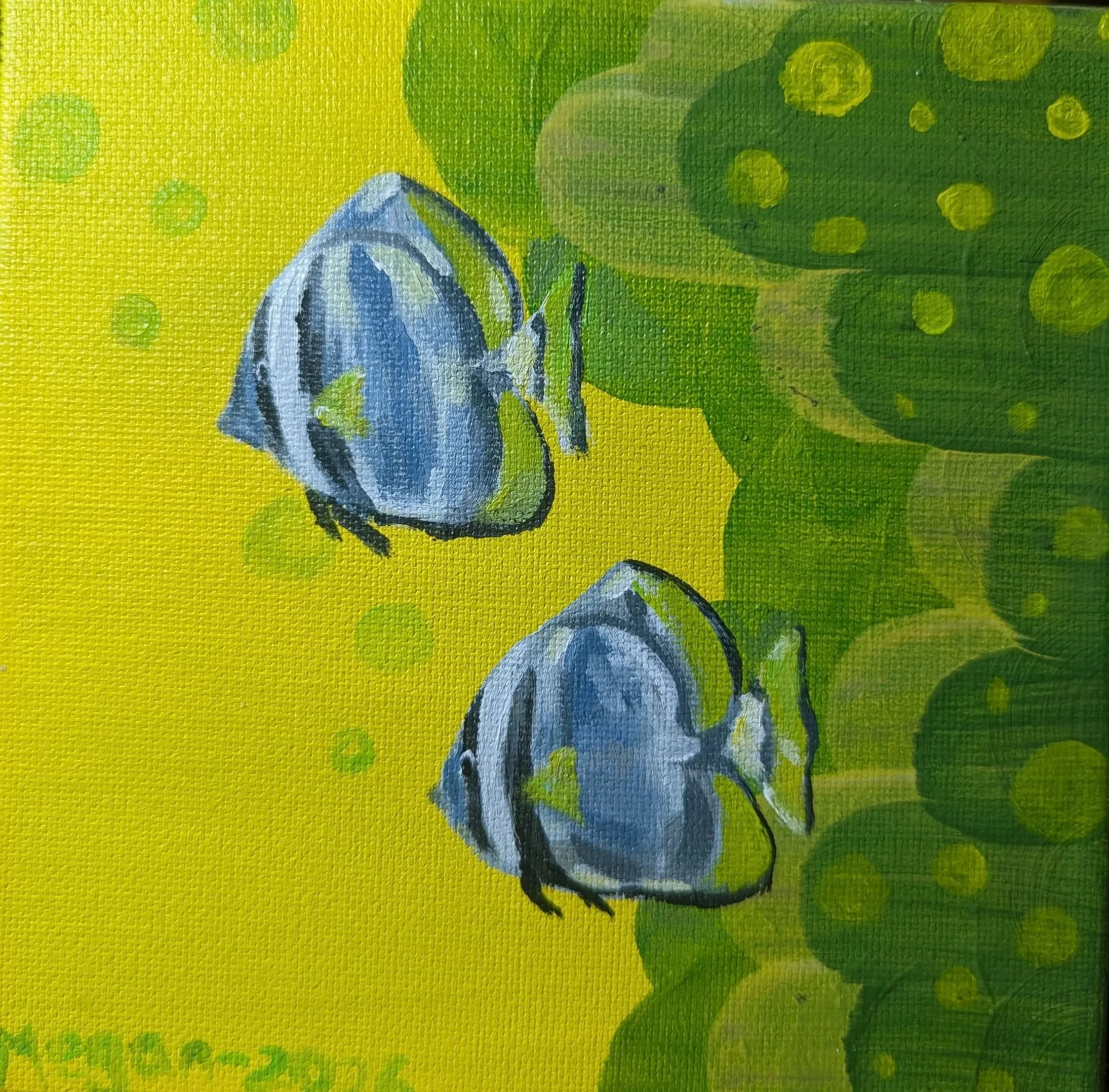 Aquarium Bubbles 2026