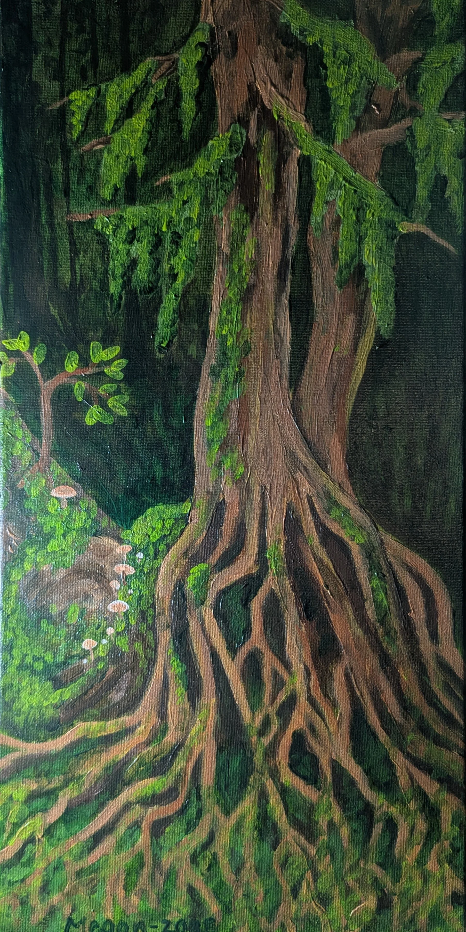 Old Growth Stump 2025