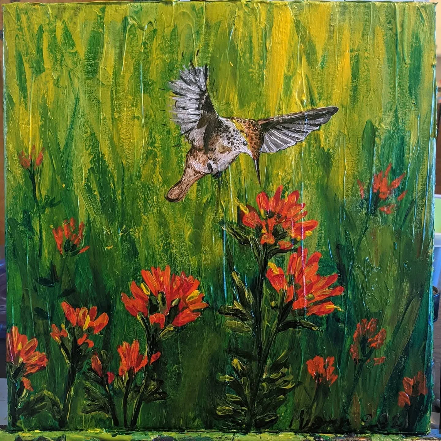 Pollinator Series #6: Castilleja and Rufous Hummingbird 2021