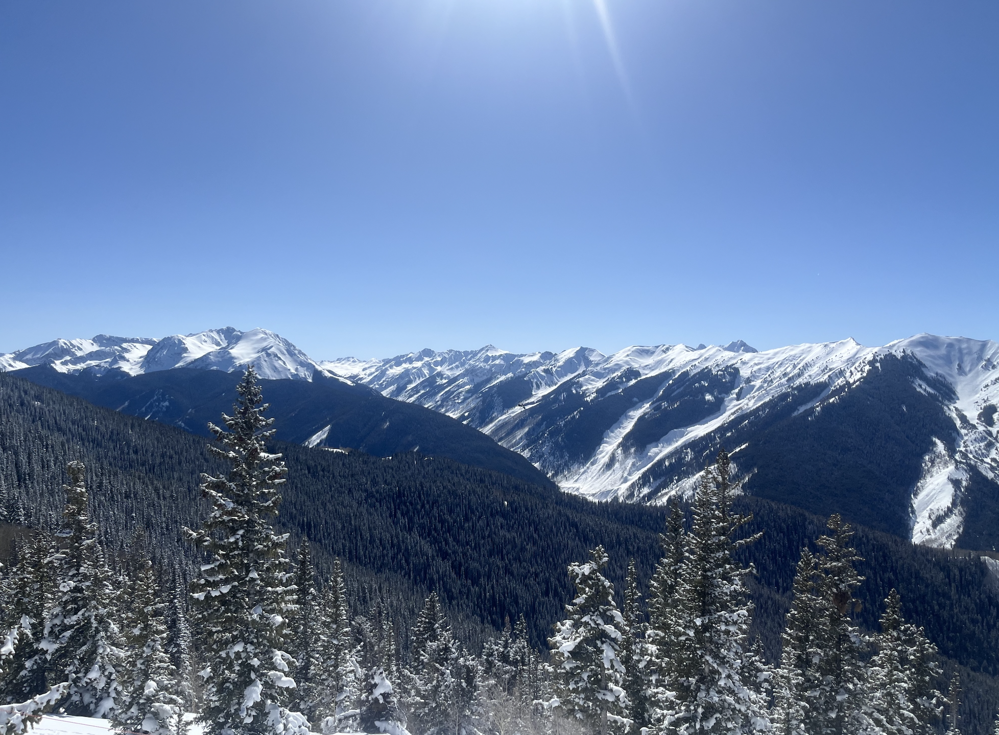 Snow-covered pine trees in a mountainous landscape under a clear blue sky with sunlight shining.