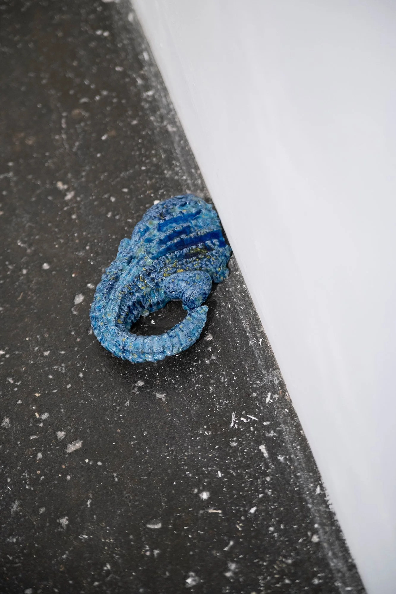 _DSC7058 WEB.jpg