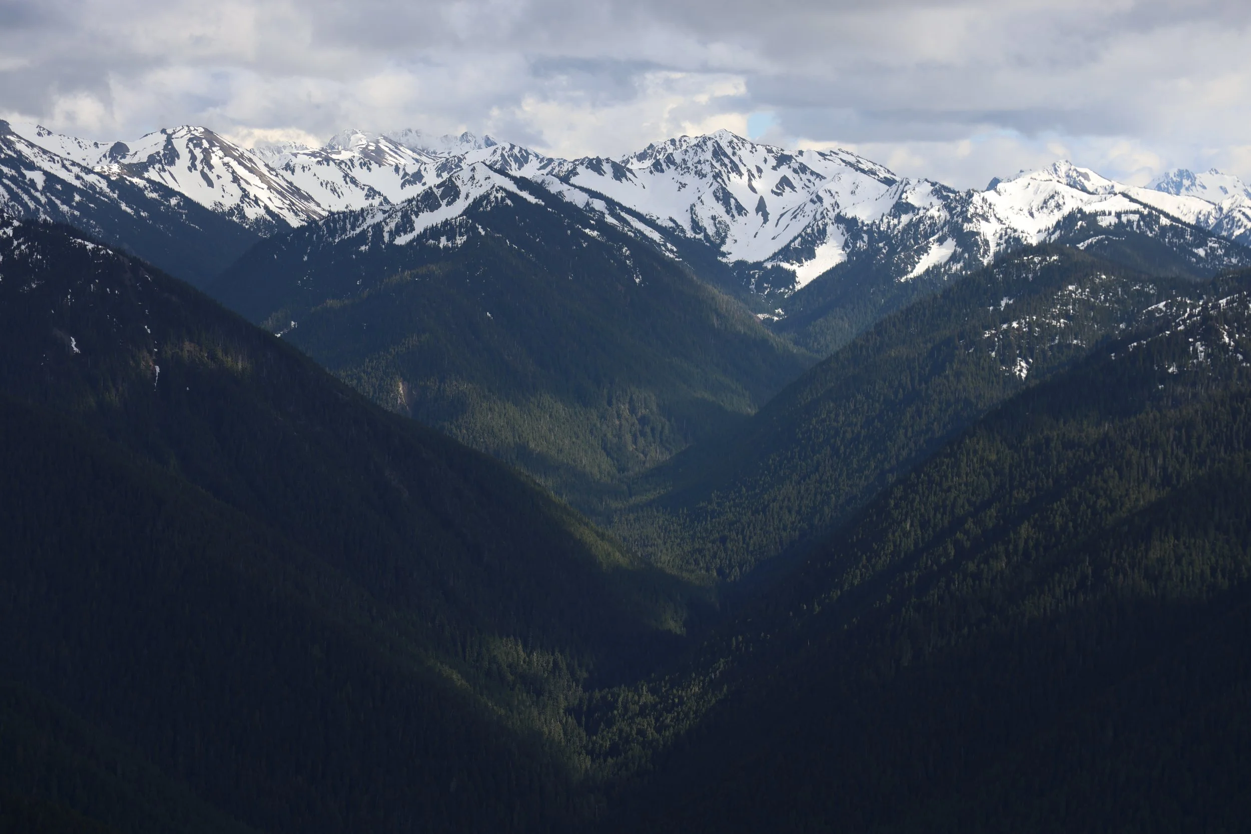Hurricane Ridge in Washington State. A snow-capped mountain range above green forested valleys under a cloudy sky.