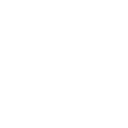 scalable service icon