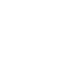 script to scene icon