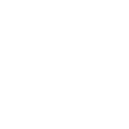 visual template icon