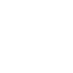 multi format output icon