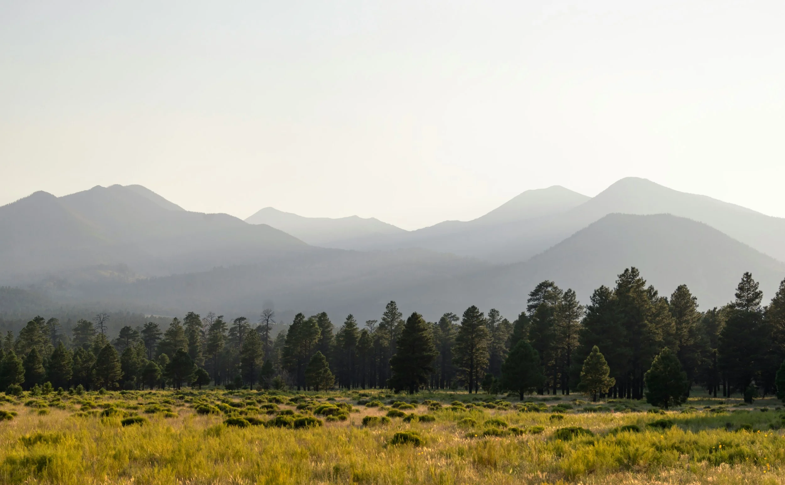 Scenic view of a mountain range with multiple layers of mountains fading into the background, a forest of tall trees in the middle ground, and a grassy field in the foreground.