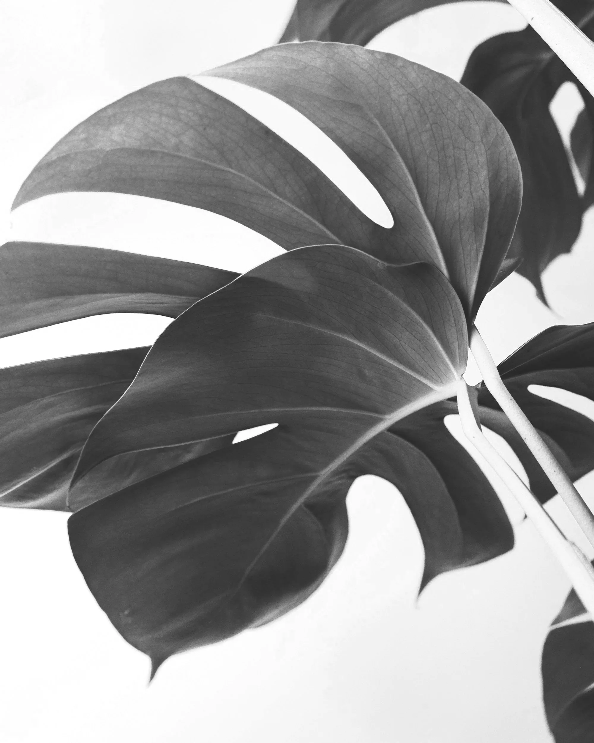 What is Trauma Therapy? How EMDR and Parts Work Help you Heal