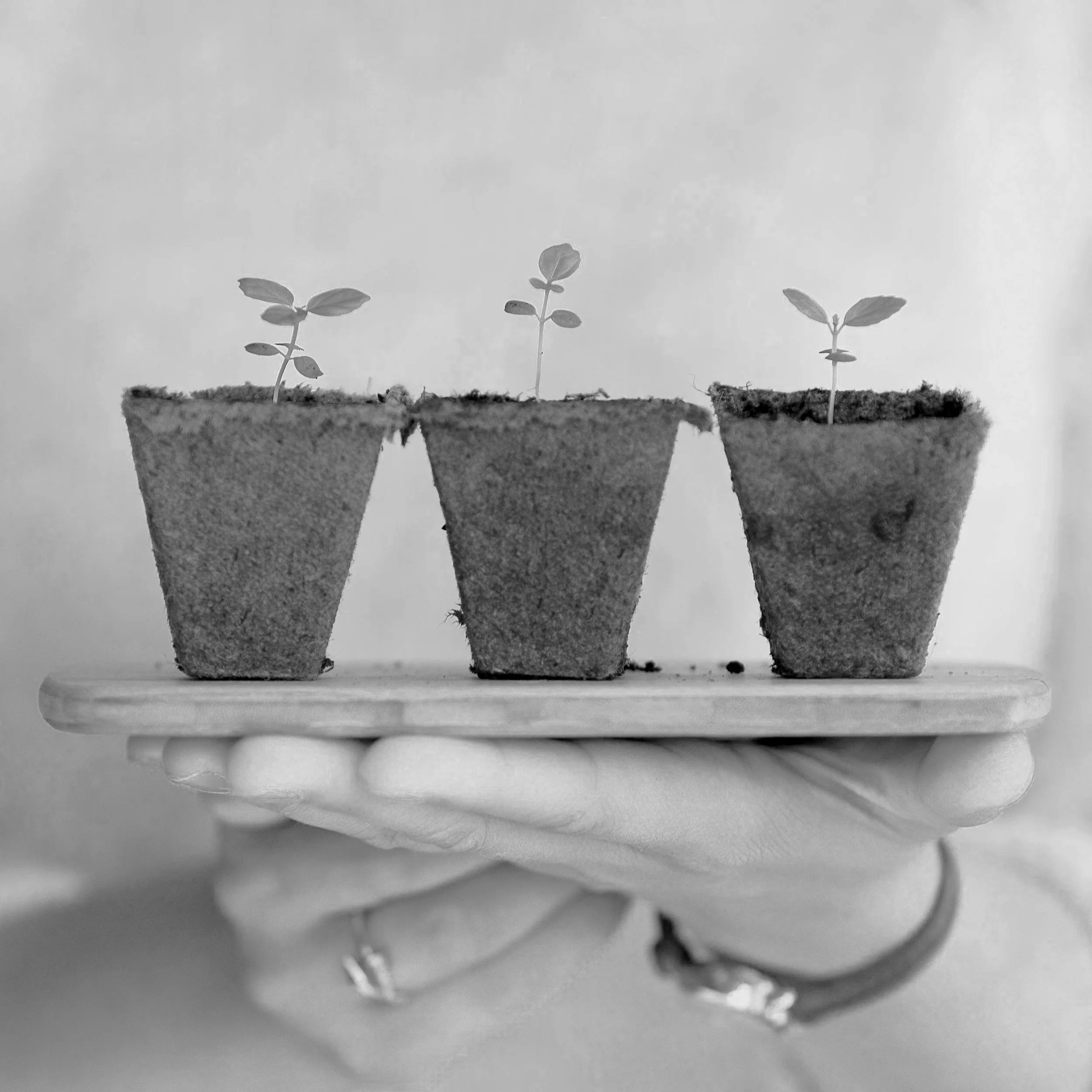 How Trauma Therapy Actually Creates Change