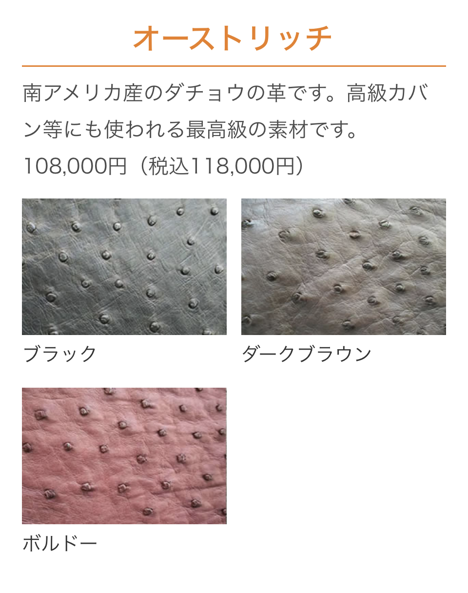 オーストリッチキジ１.png
