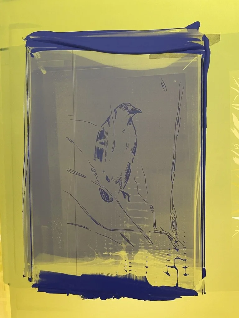 Screen Kit.jpeg