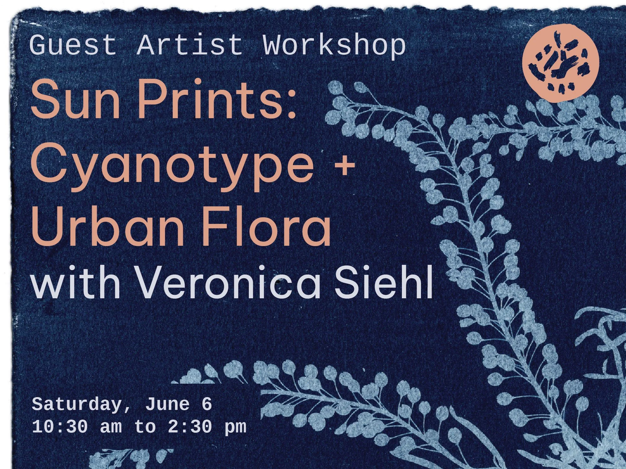 Veronica Siehl Sun Prints Website.jpg