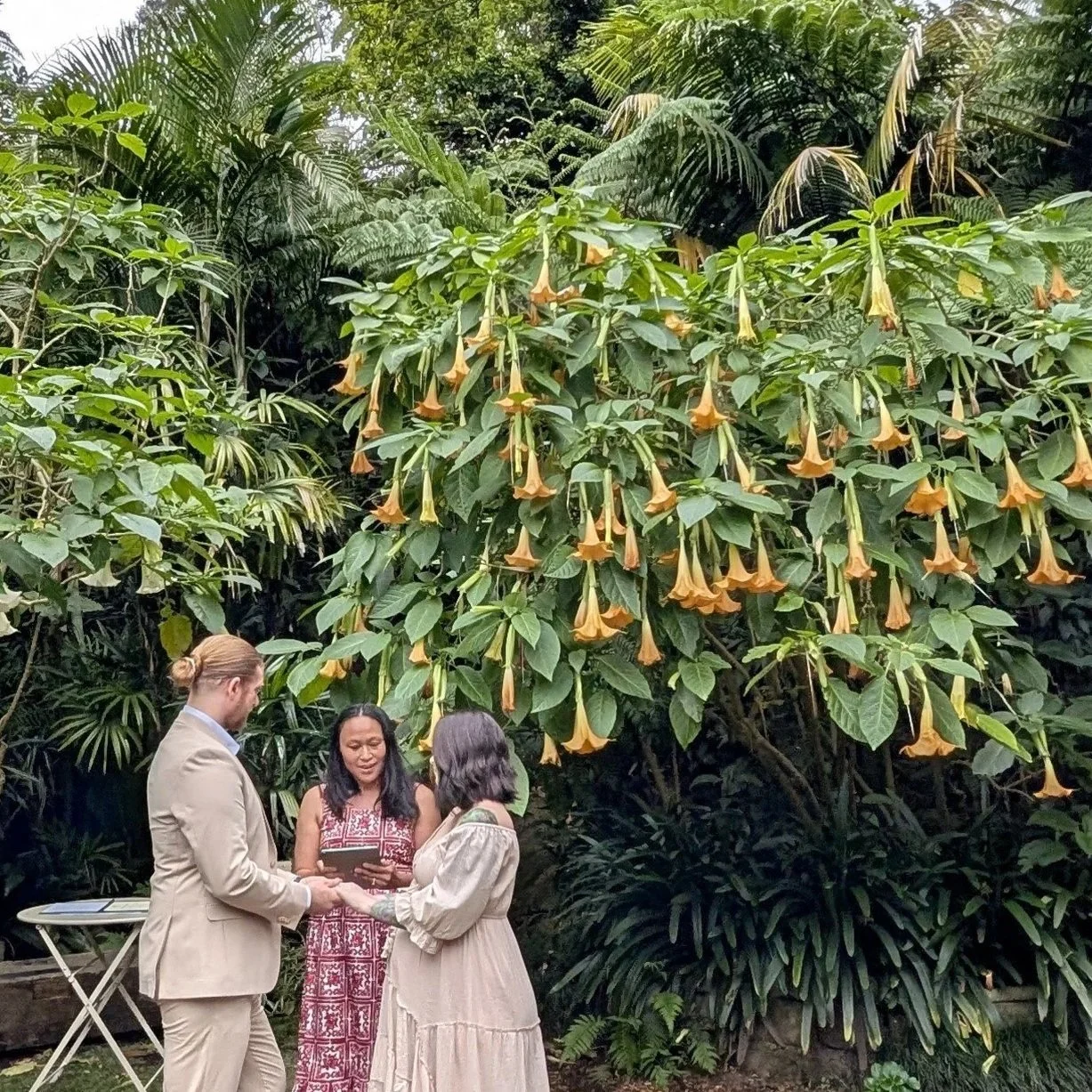 D & T - a secret wedding at The Secret Garden