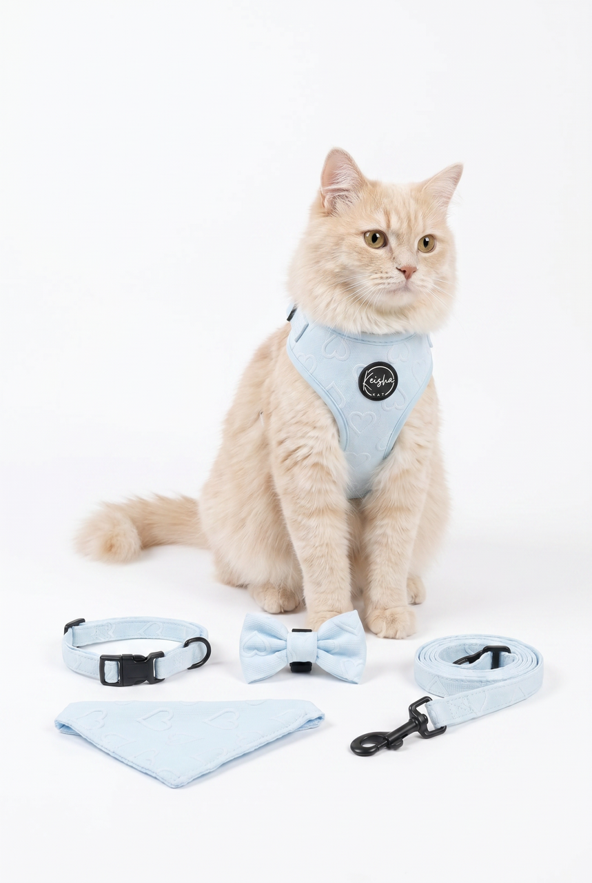 blue catr.png