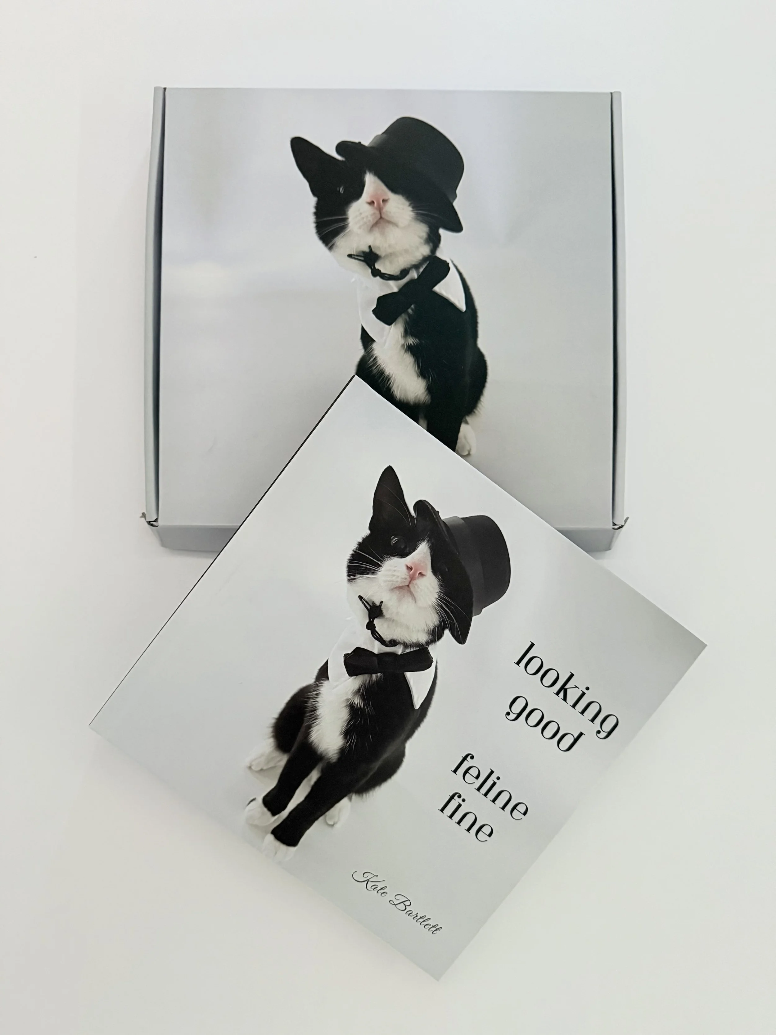 Cat Photo Book