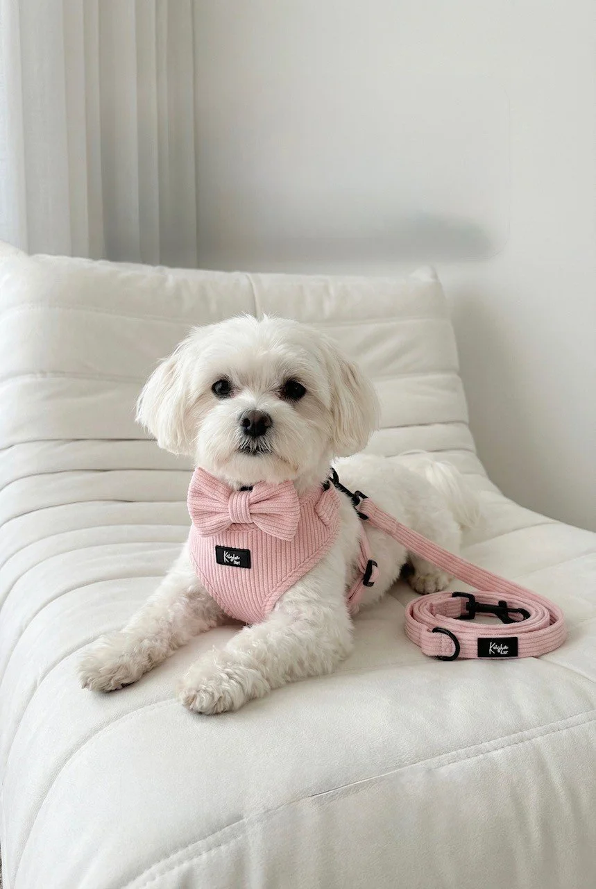 PINK - Corduroy Pet Harness Set