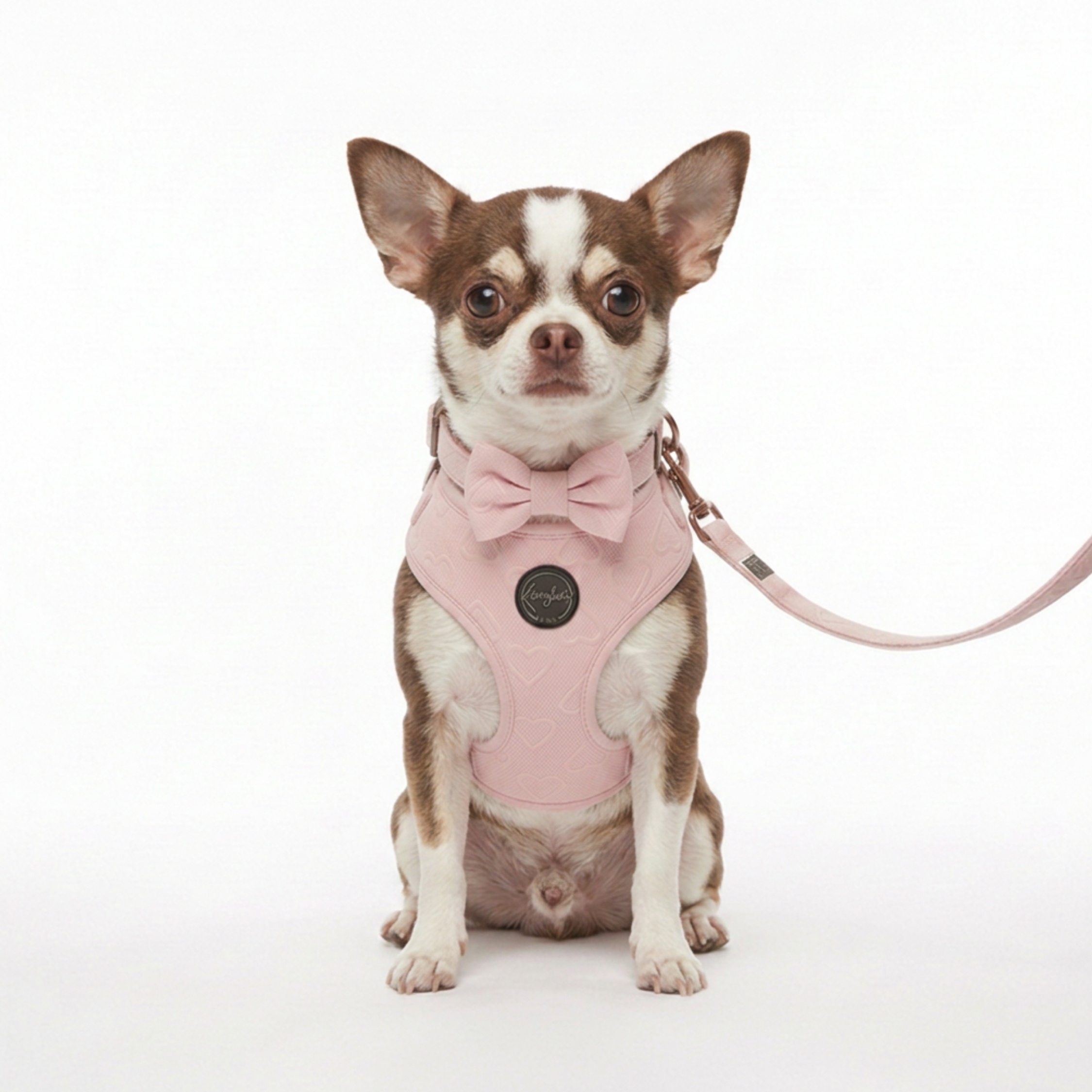 Small Dog Harness.png