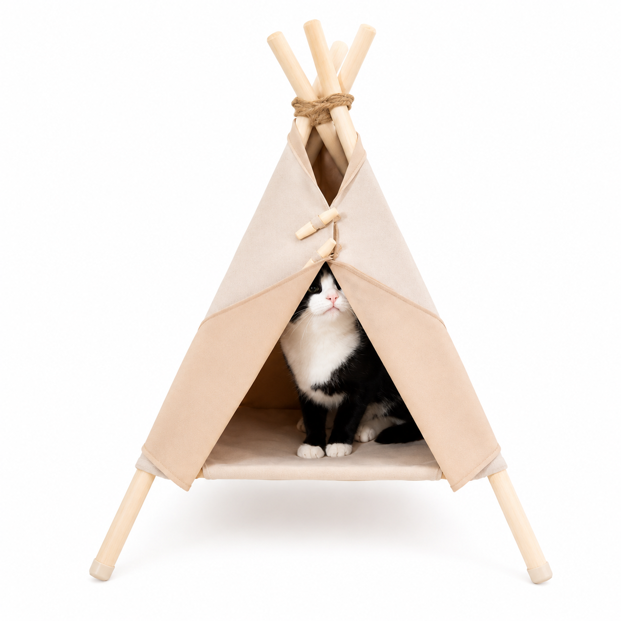 Glamping Pet Tent