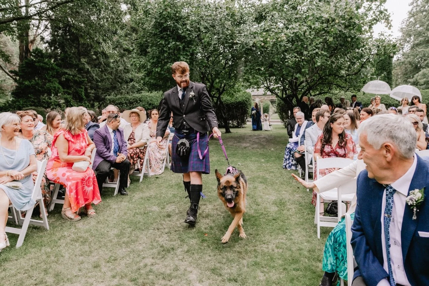 Meet Dixie 💜 This sweet gal was the most gorgeous guest for her pawrents A&amp;S&rsquo;s wedding. She walked the aisle and stood at the front during the ceremony with A&rsquo;s brother. 

I was on hand down the back just incase Dixie didn&rsquo;t wa