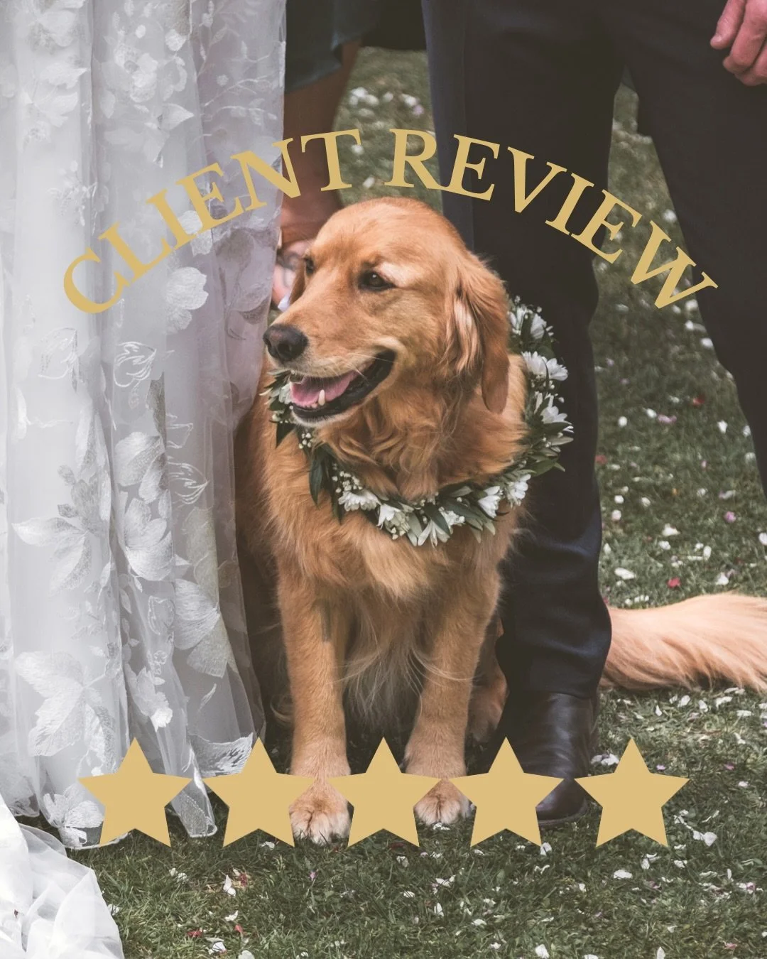 Kind words from some awesome humans 💛