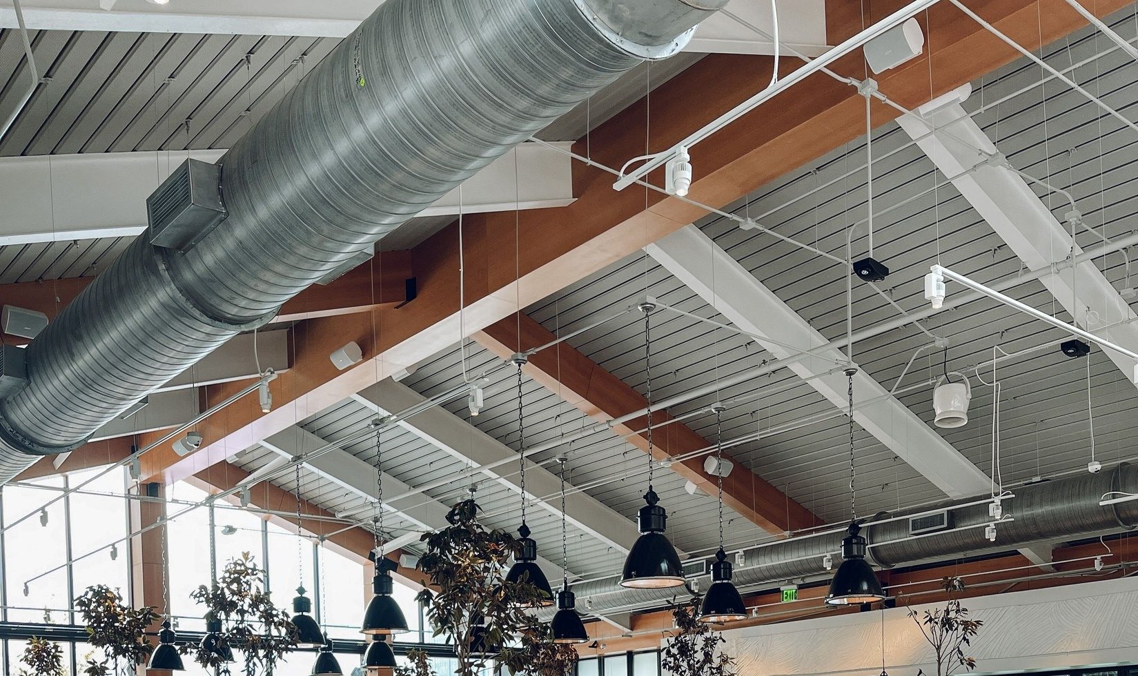 _overhead_lighting_and_dining_layout.jpg: Overhead lighting and dining layout