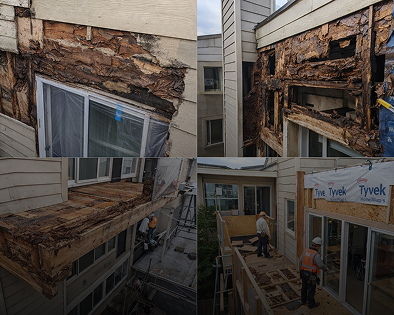 Front view of a modern two-story house painted dark gray with large windows, a garage, and a landscaped front yard with small bushes, flowers, rocks, and a concrete walkway.