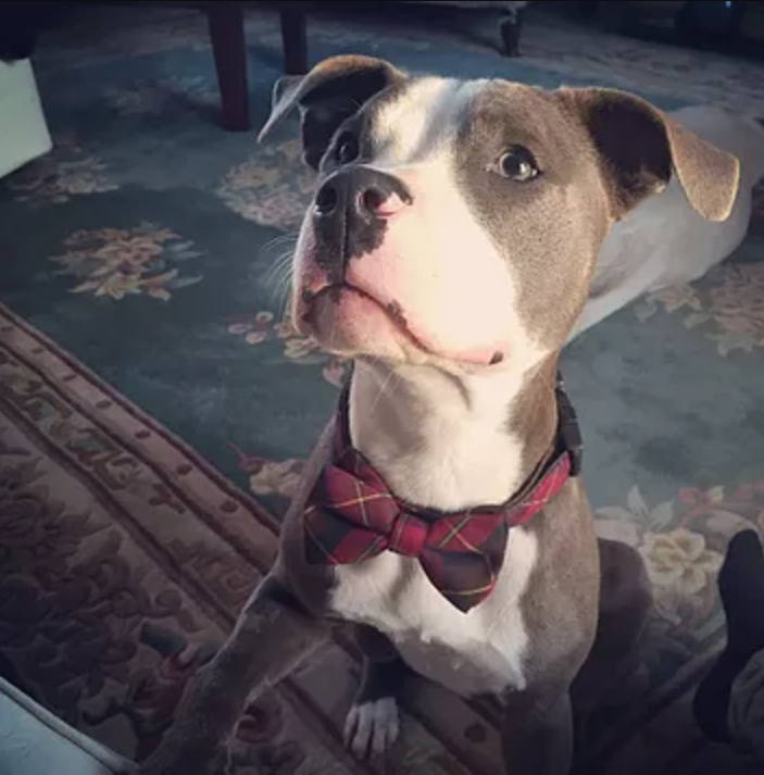 Screen Shot 2018-07-03 at 23.32.06.png