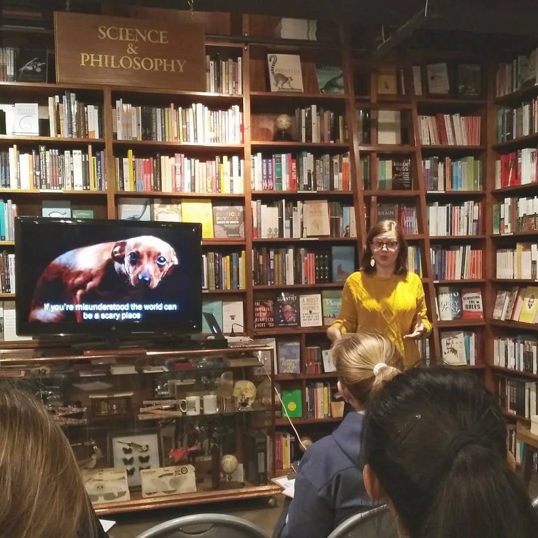 Presenting a regular talk on dog body language in Melbourne's CBD