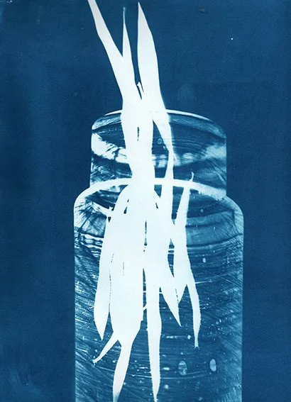 bocal1-web.jpg