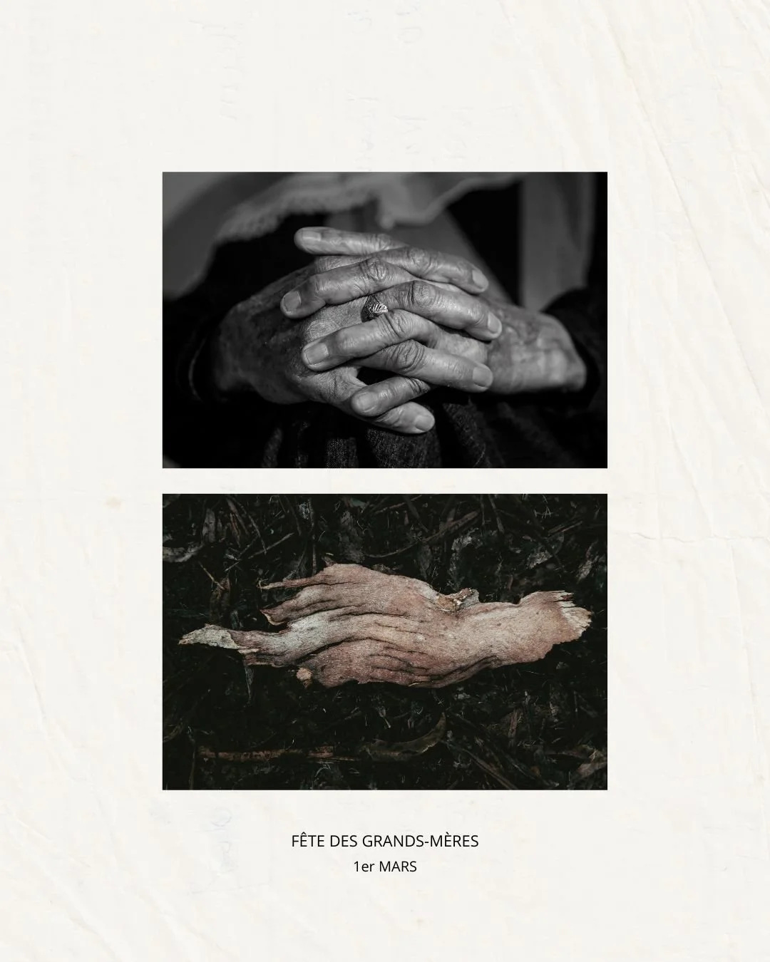 Les mains des grands-m&egrave;res sont des paysages.
Comme l&rsquo;&eacute;corce des arbres, elles portent le temps, les saisons, la m&eacute;moire.

Creus&eacute;es, solides, vivantes.
Elles racontent ce qui a &eacute;t&eacute; travers&eacute;, ce q