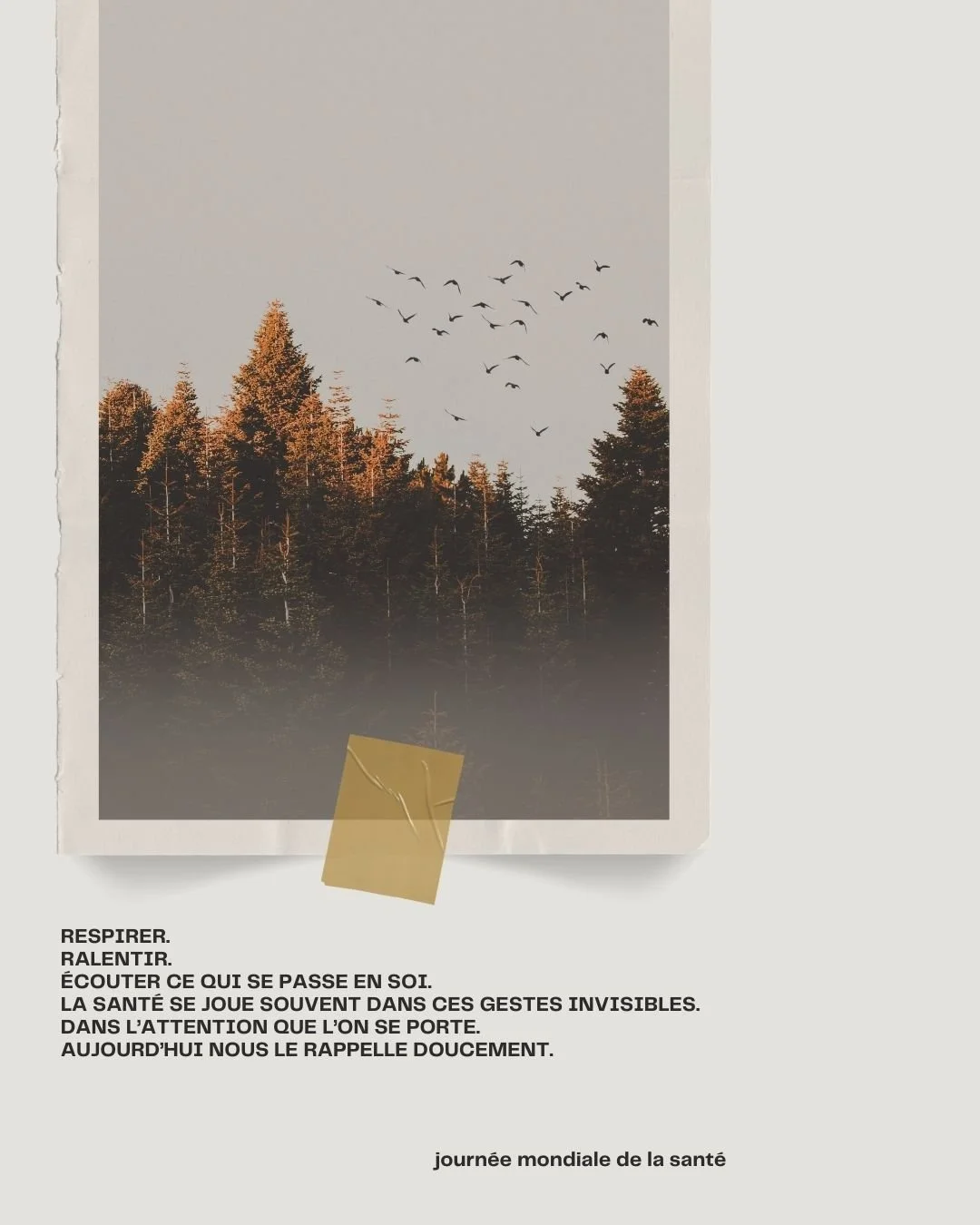 &Ecirc;tre &agrave; son compte demande de l&rsquo;&eacute;nergie.
De la pr&eacute;sence.
De l&rsquo;endurance.

Prendre soin de sa sant&eacute;,
c&rsquo;est aussi prendre soin de ce qui nous permet de cr&eacute;er et de travailler.

Journ&eacute;e mo